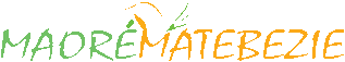 maoré matebezi  logo